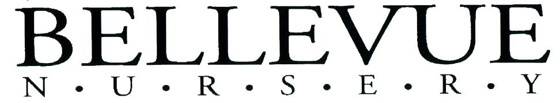 Bellevue Text Logo